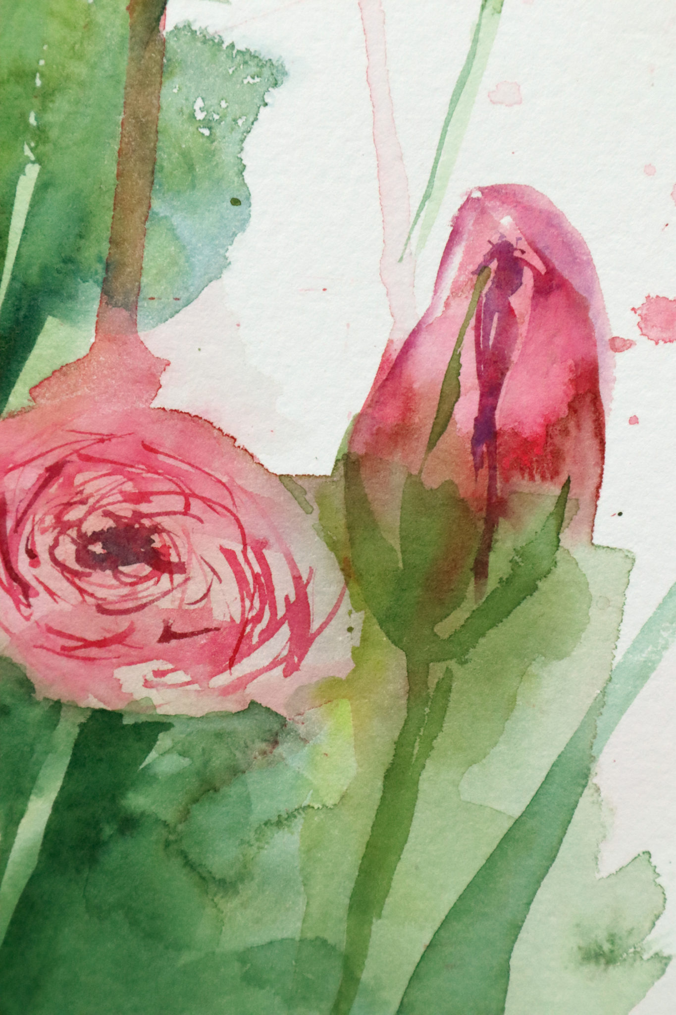 Direct Peindre Des Tulipes L Aquarelle Ursula Schichan