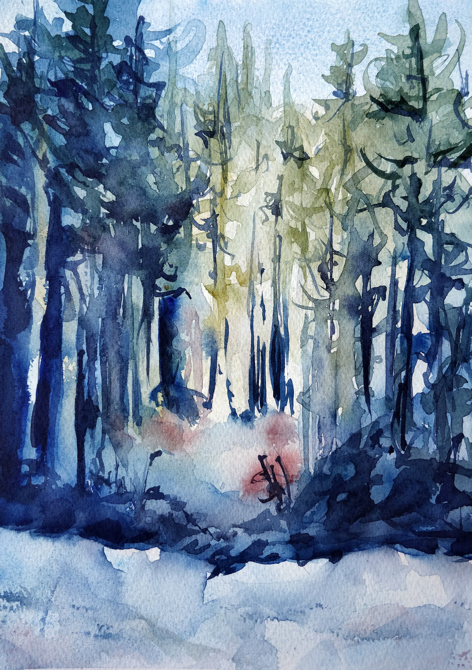 winter forest landscapes