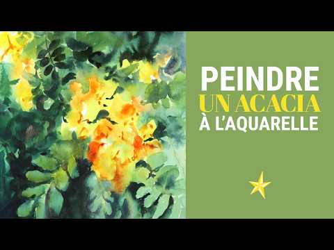 Peindre un acacia à l&#039;aquarelle - MOYEN