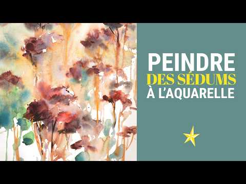 Peindre des sédums en hiver à l&#039;aquarelle - FACILE