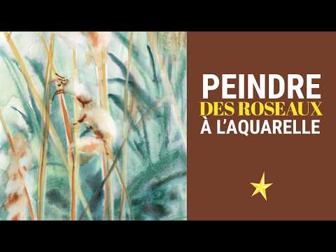 Peindre des roseaux à l&#039;aquarelle - MOYEN