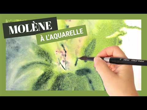 Peindre des molènes à l&#039;aquarelle - FACILE