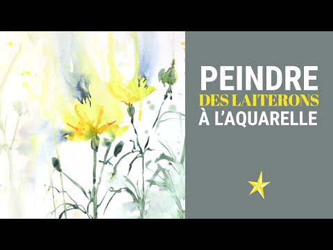 Peindre des fleurs des champs (laiteron) à l&#039;aquarelle - MOYEN