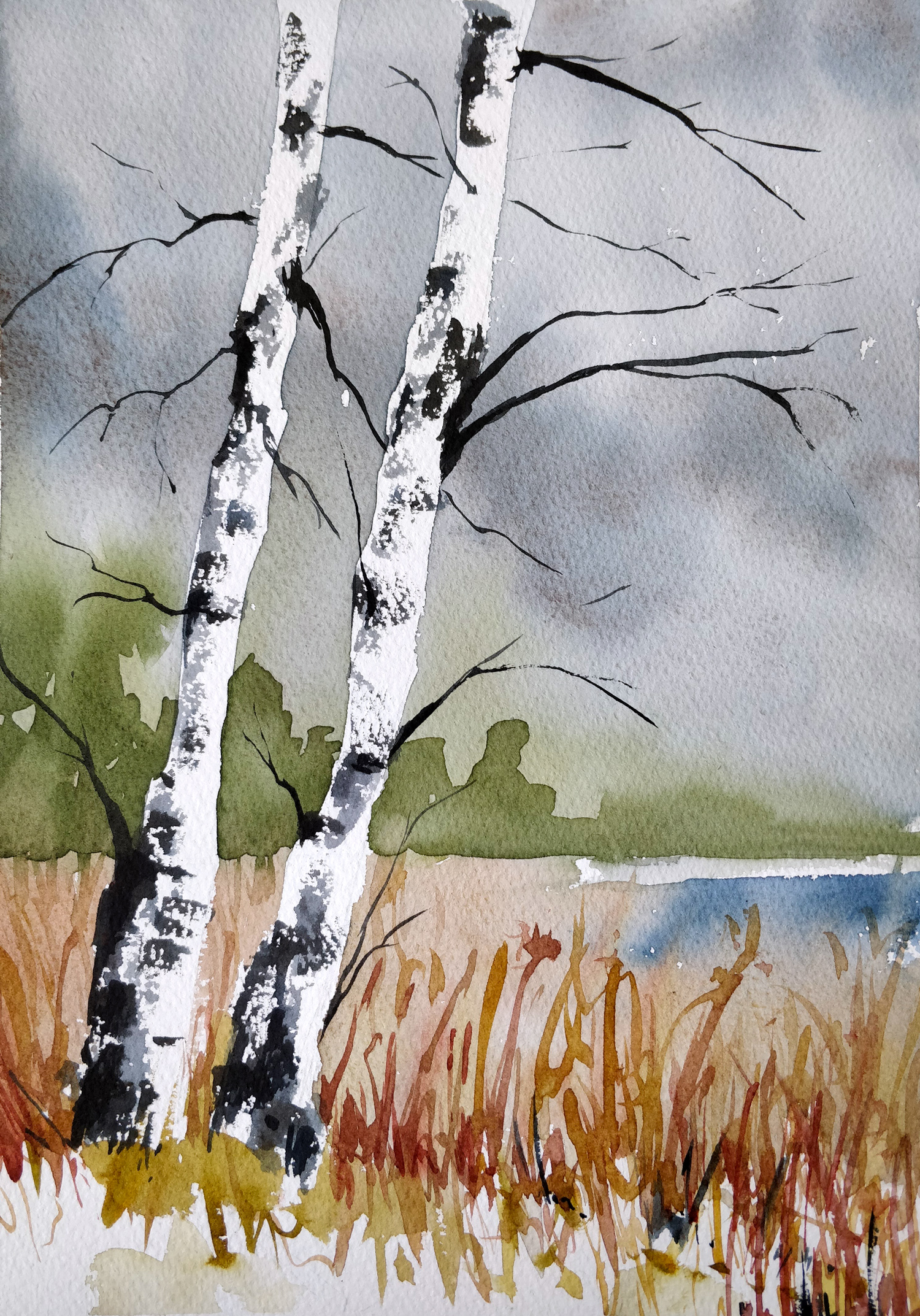 Birch tree in watercolor Ursula Schichan