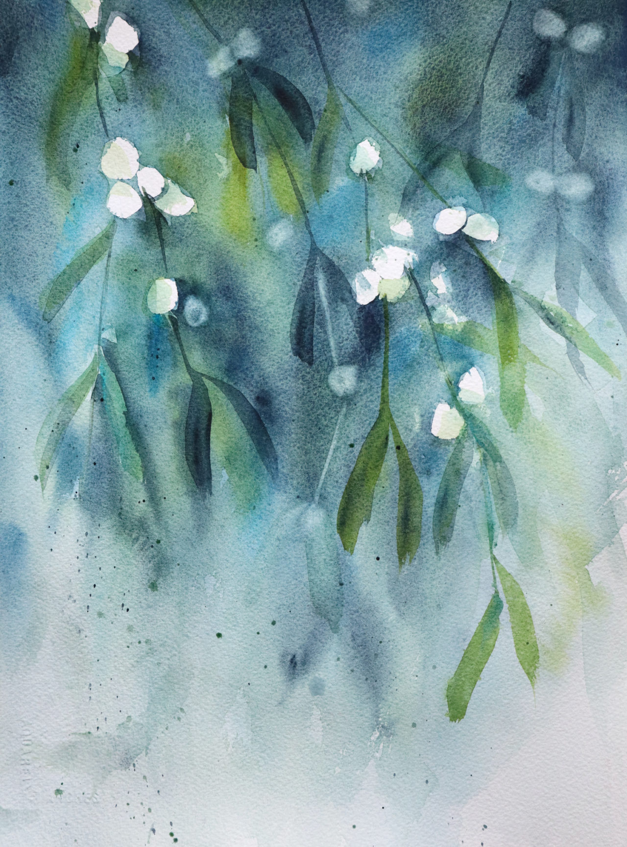 Painting mistletoe in watercolor - Ursula Schichan